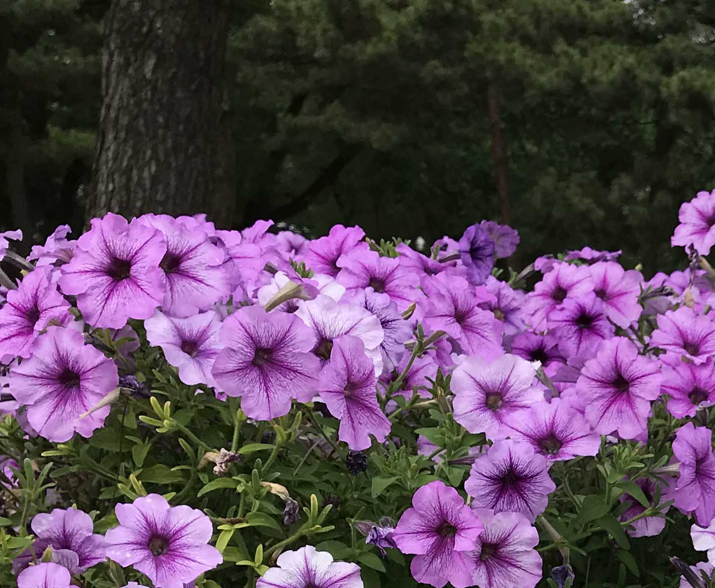 歲月長(zhǎng)歌！